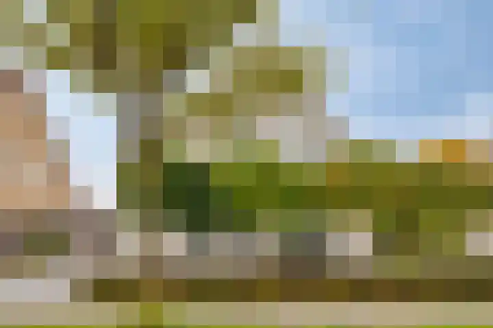 Middelland 3 Bergen op Zoom thumbnail 34