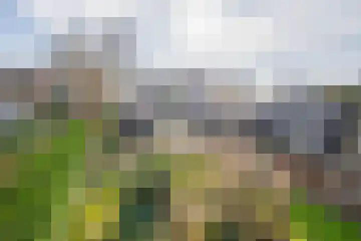 Middelland 46 Krimpen aan de Lek thumbnail 4
