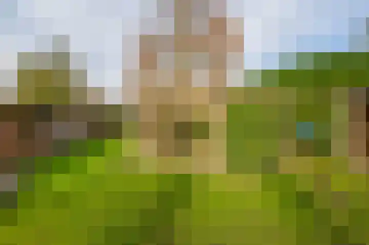 Middelland 46 Krimpen aan de Lek thumbnail 59