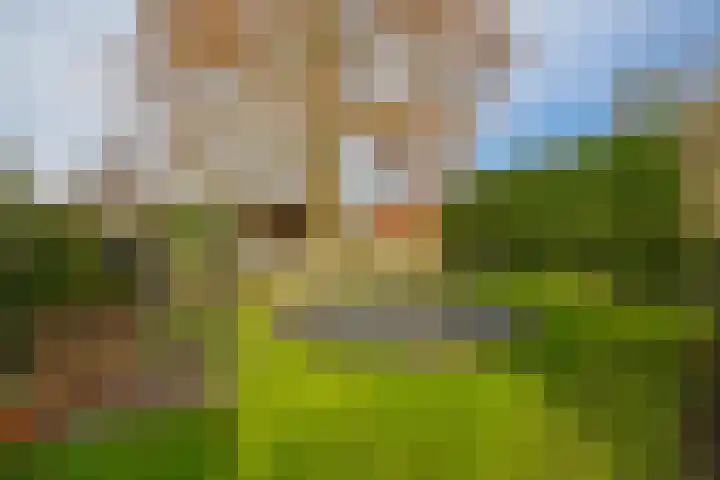 Middelland 46 Krimpen aan de Lek thumbnail 62