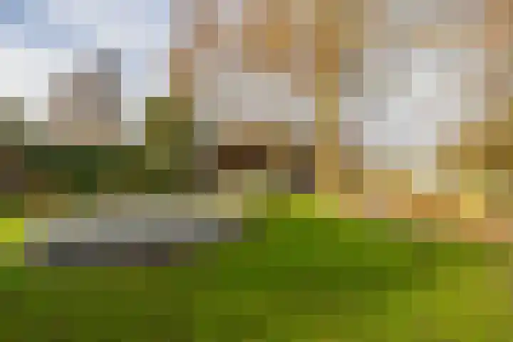 Middelland 46 Krimpen aan de Lek thumbnail 63