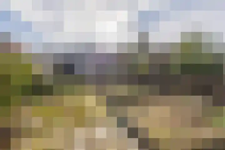 Middelland 46 Krimpen aan de Lek thumbnail 69