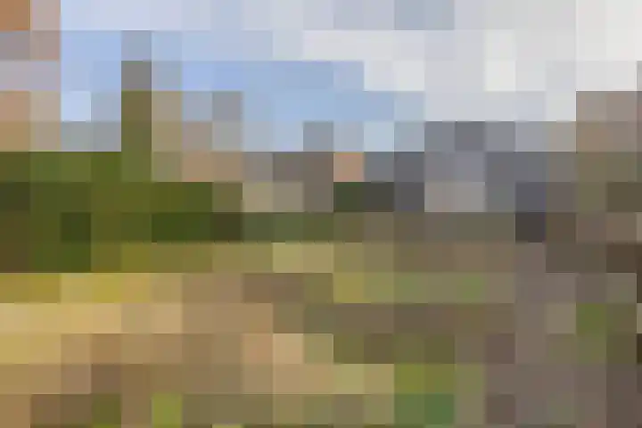 Middelland 46 Krimpen aan de Lek thumbnail 70