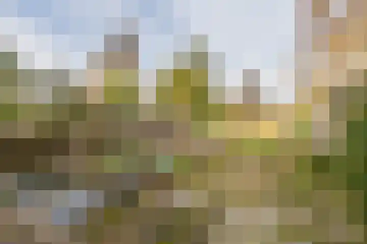 Middelland 46 Krimpen aan de Lek thumbnail 71