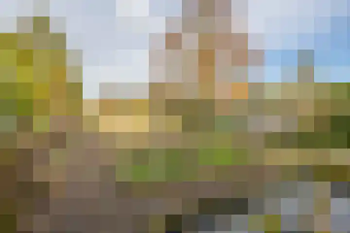 Middelland 46 Krimpen aan de Lek thumbnail 72