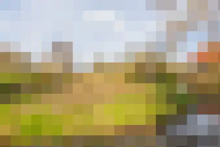 Middelland 46 Krimpen aan de Lek thumbnail 73