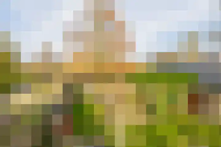 Middelland 46 Krimpen aan de Lek thumbnail 74