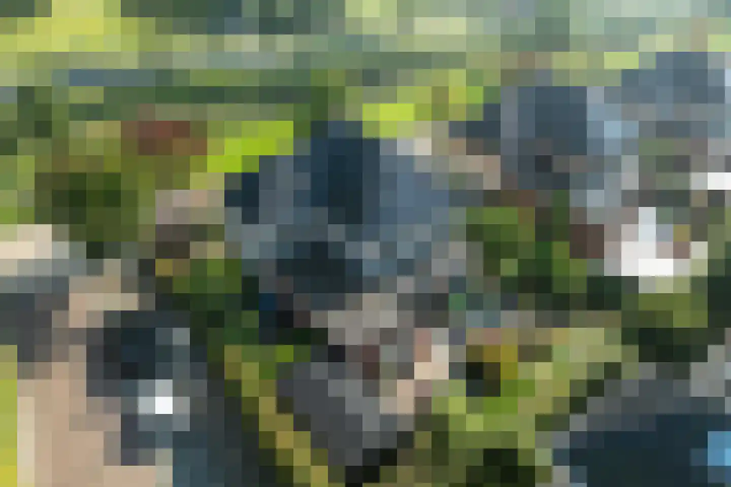 Middellantweide 15 Hellevoetsluis thumbnail 12