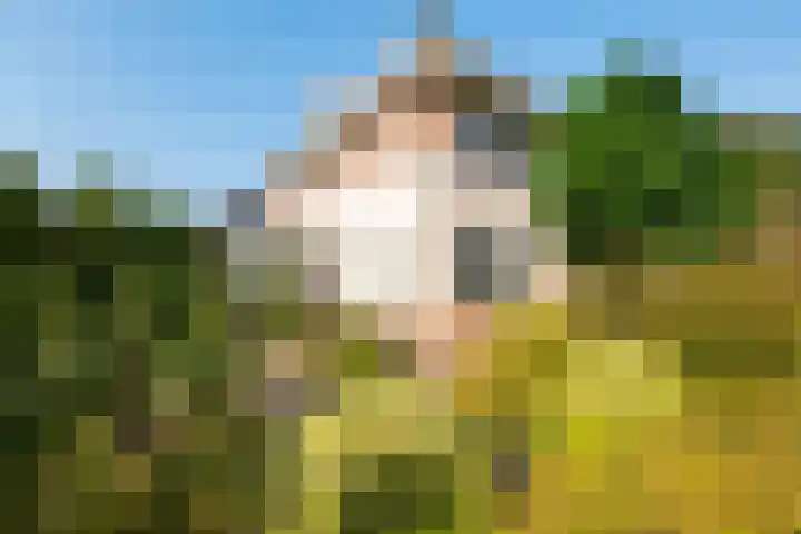 Middellantweide 15 Hellevoetsluis thumbnail 4