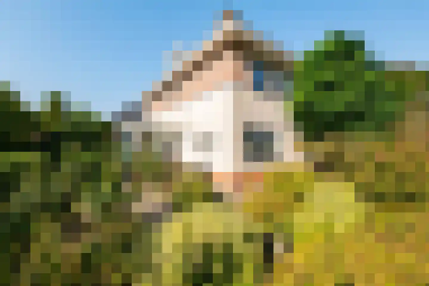 Middellantweide 15 Hellevoetsluis thumbnail 4