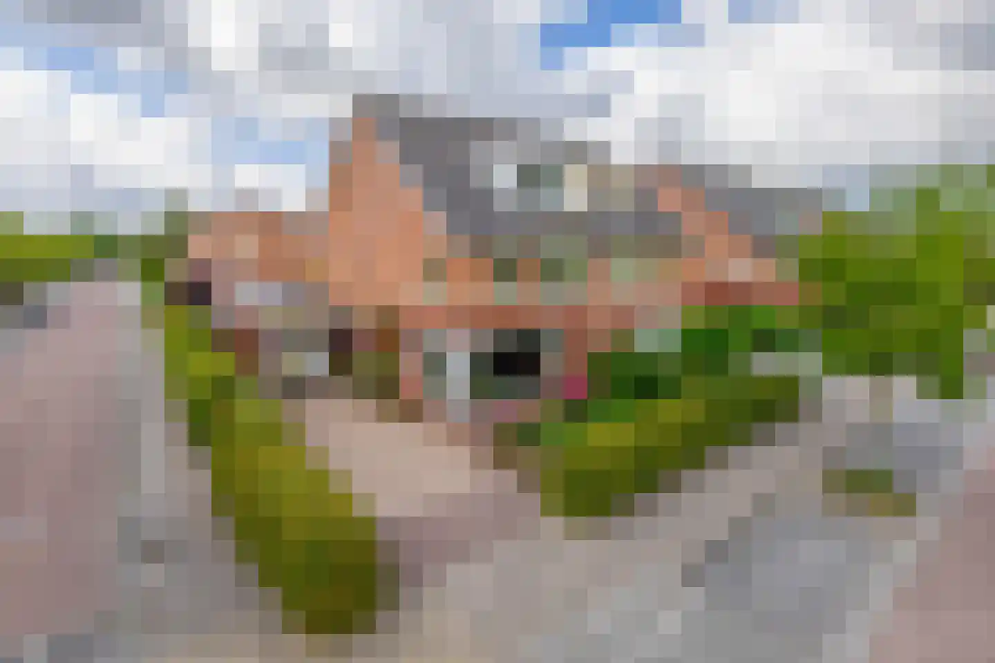 Middellantweide 7 Hellevoetsluis thumbnail 6