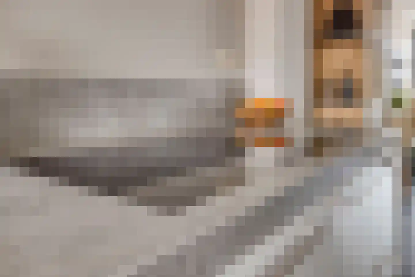 Middelmeede 10 Made thumbnail 14