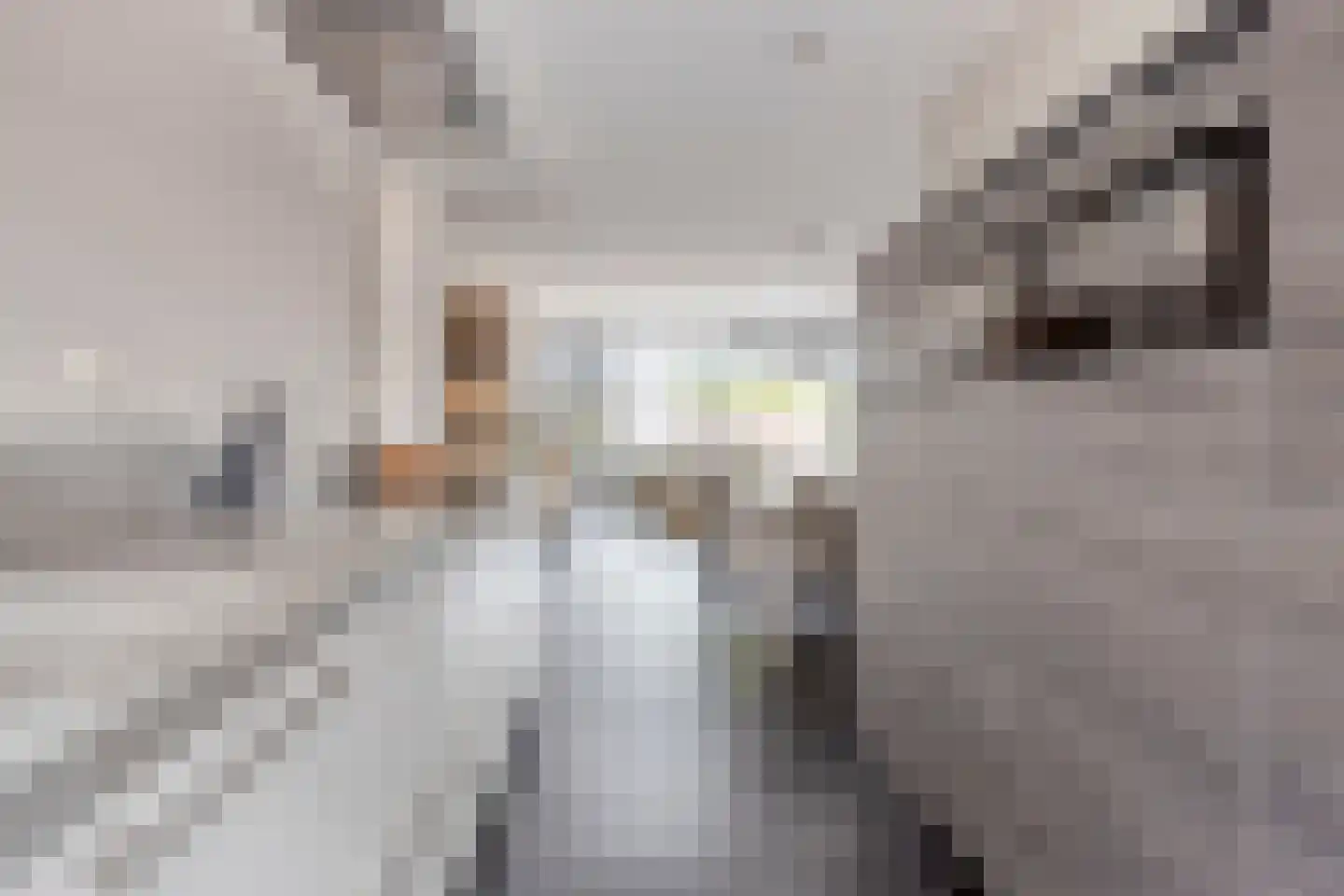 Middelmeede 10 Made thumbnail 16