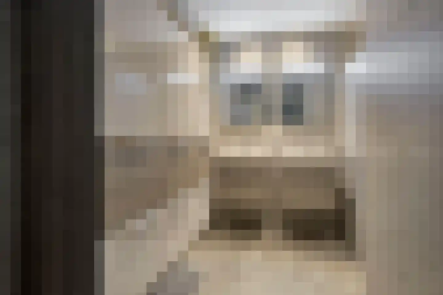 Middelmeede 10 Made thumbnail 24