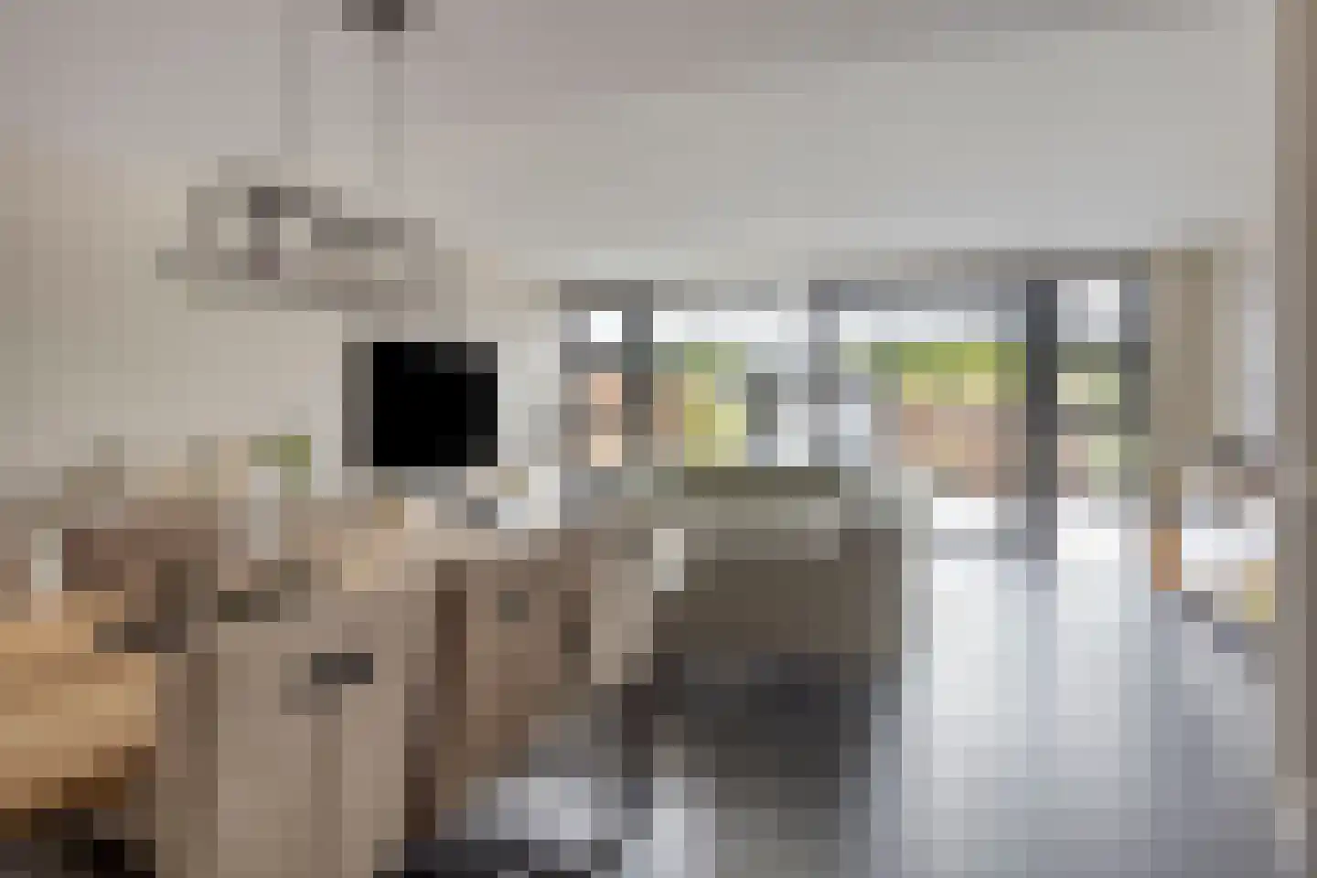 Middelmeede 10 Made thumbnail 6