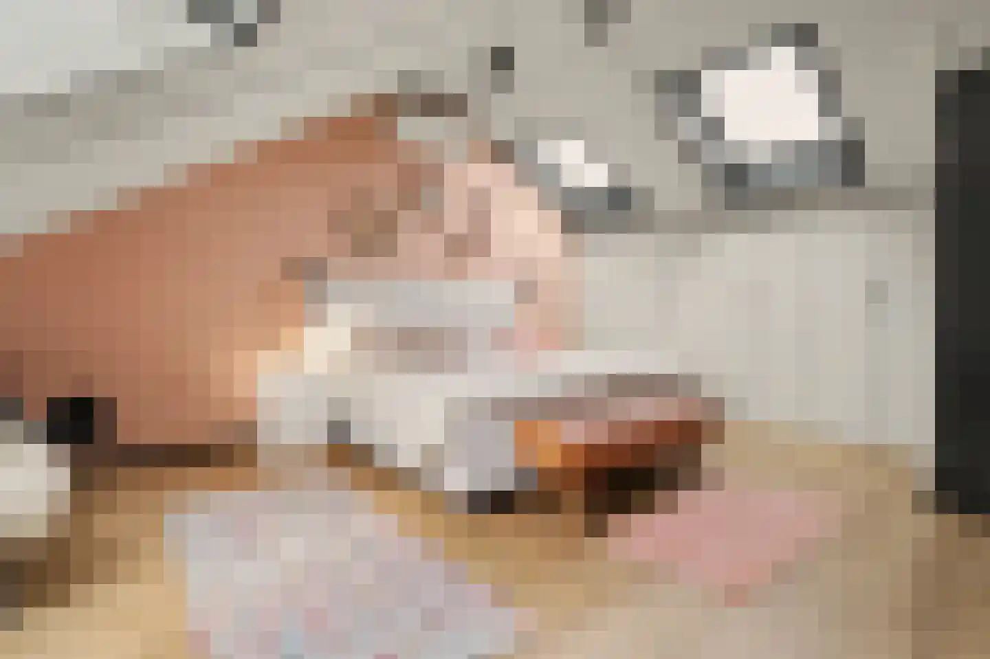 Middelmeede 22 Made thumbnail 33