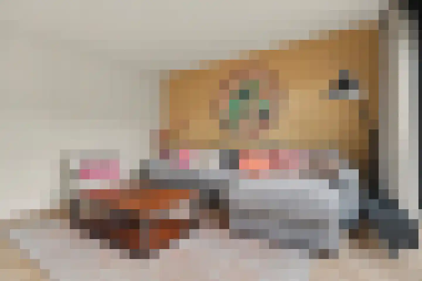 Middelmeede 22 Made thumbnail 8