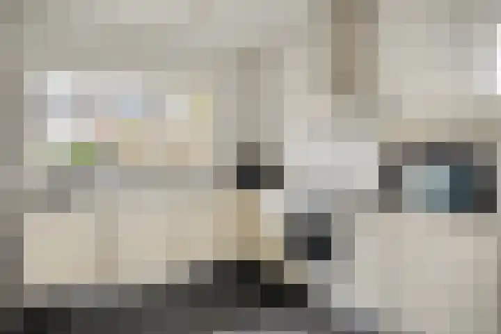 Middelmeet 10 Goes thumbnail 13