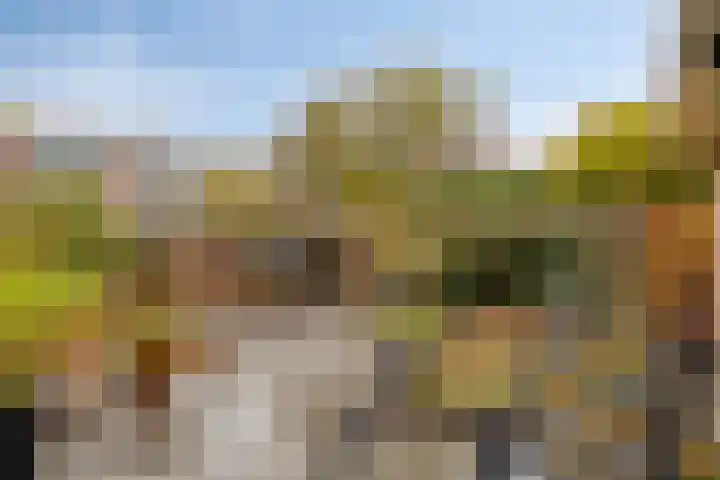 Middelmeet 10 Goes thumbnail 29