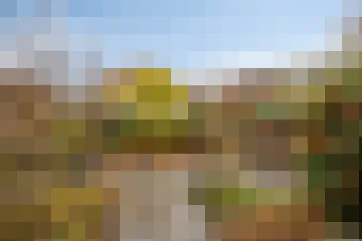 Middelmeet 10 Goes thumbnail 30