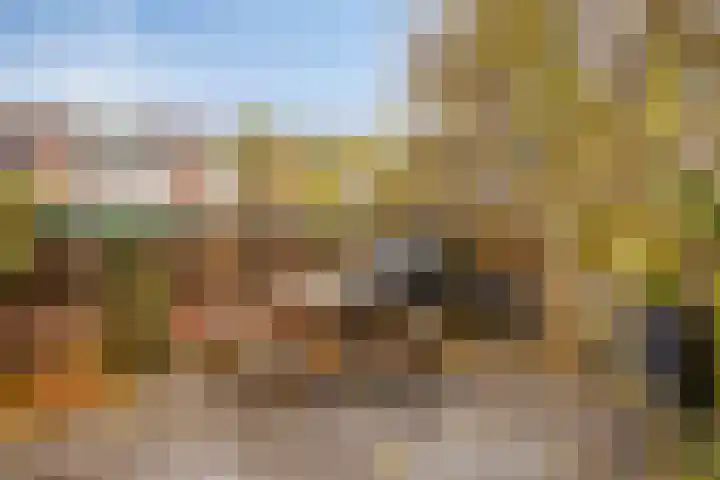 Middelmeet 10 Goes thumbnail 31