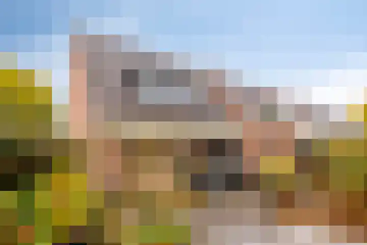 Middelmeet 10 Goes thumbnail 32