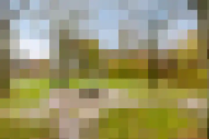 Middelmeet 10 Goes thumbnail 33
