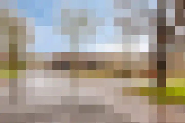 Middelmeet 10 Goes thumbnail 34