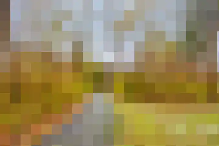 Middelmeet 10 Goes thumbnail 35