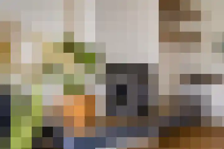 Middelmeet 10 Goes thumbnail 8