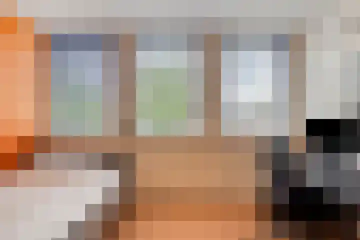 Middelmeet 45 Goes thumbnail 22
