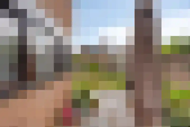 Middelmeet 45 Goes thumbnail 26