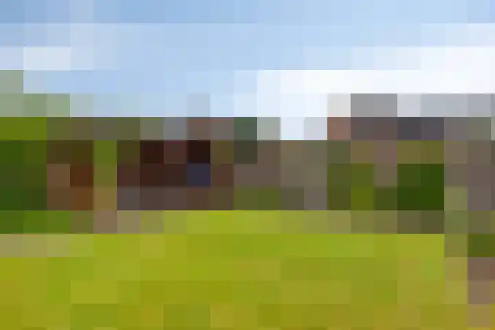 Middelmeet 45 Goes thumbnail 27