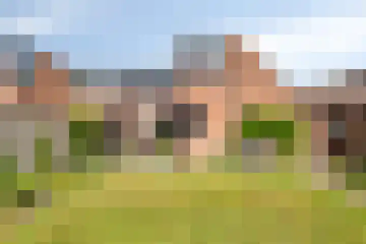 Middelmeet 45 Goes thumbnail 28