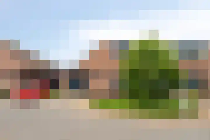 Middelmeet 45 Goes thumbnail 31