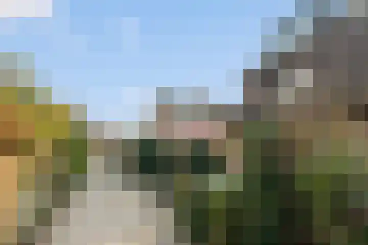 Middelmolen 1 Harmelen thumbnail 29