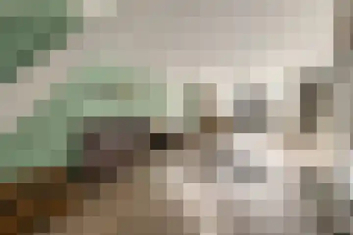 Middelmolen 1 Harmelen thumbnail 4