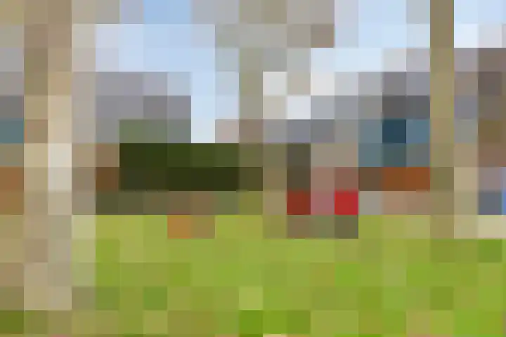 Middelmolen 28 Harmelen thumbnail 28