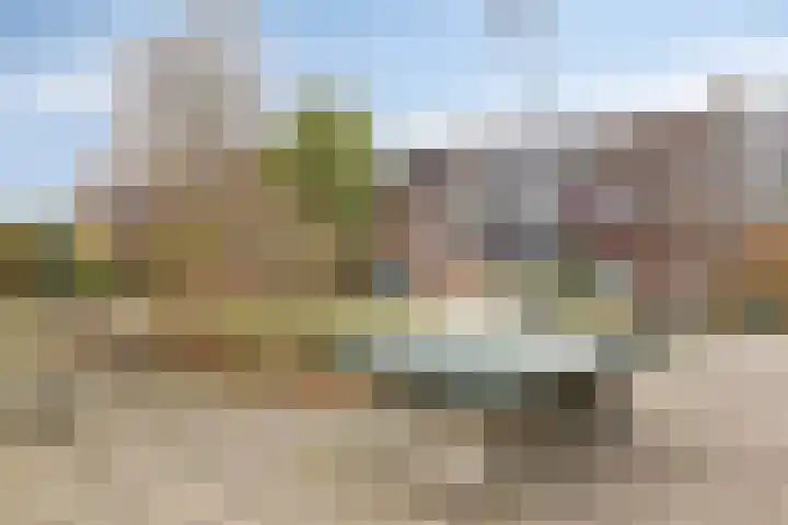 Middelmolen 28 Harmelen thumbnail 29
