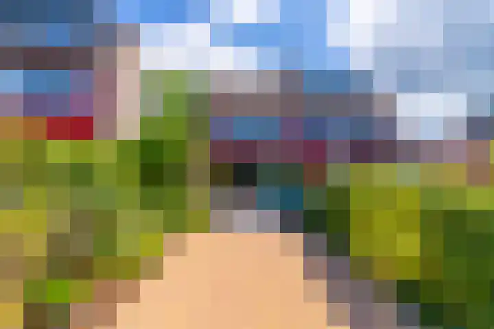 Middelmolen 3 Harmelen thumbnail 22