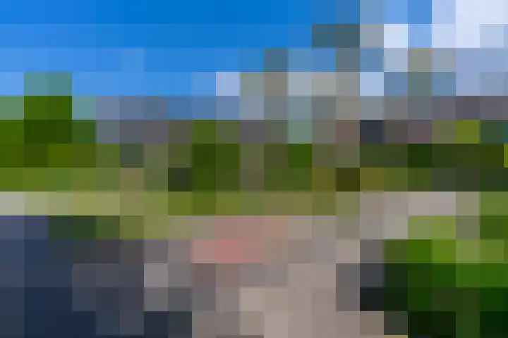 Middelmolen 3 Harmelen thumbnail 36