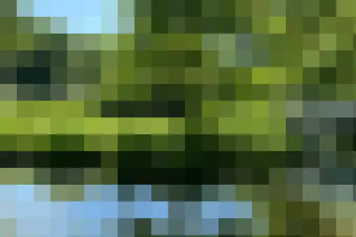 Middelmolen 3 Harmelen thumbnail 37