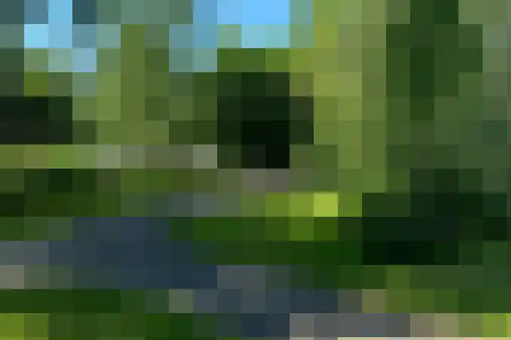 Middelmolen 3 Harmelen thumbnail 38