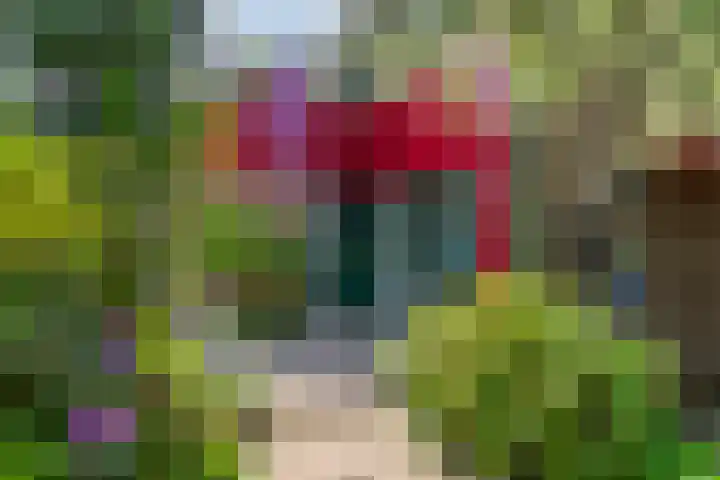 Middelmolen 3 Harmelen thumbnail 6