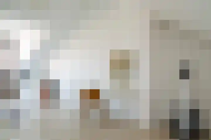Middelmolenstraat 15 Rotterdam thumbnail 31