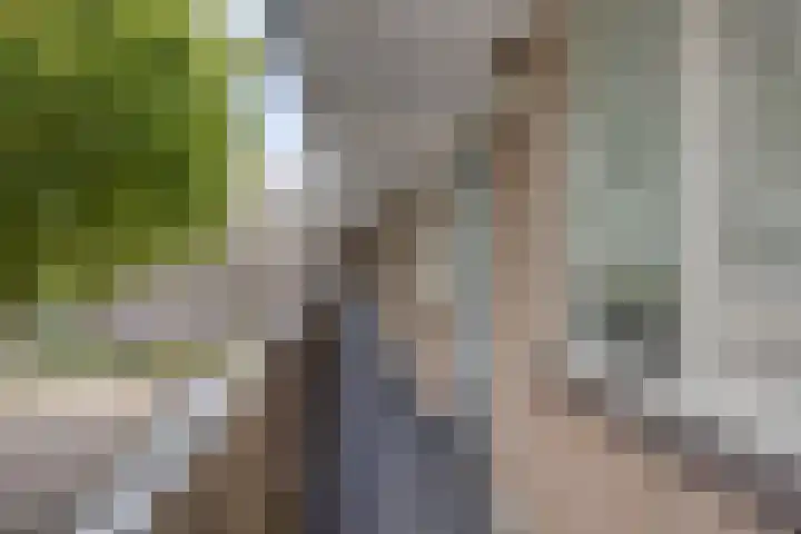 Middelmonde 27 Nieuwegein thumbnail 11