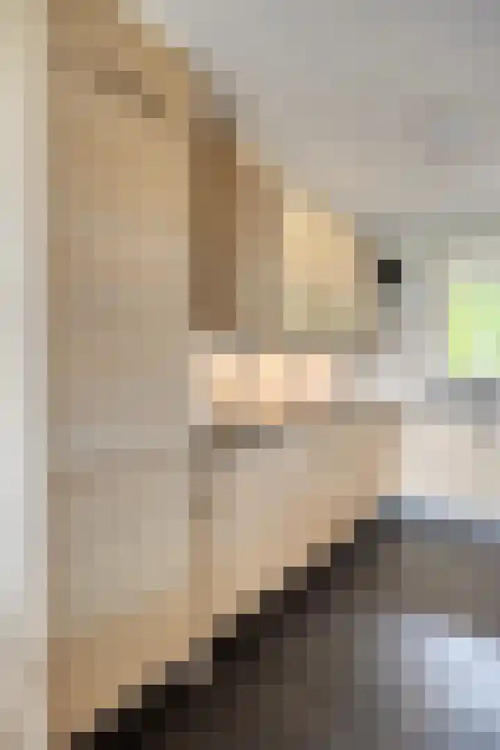 Middelmonde 27 Nieuwegein thumbnail 19