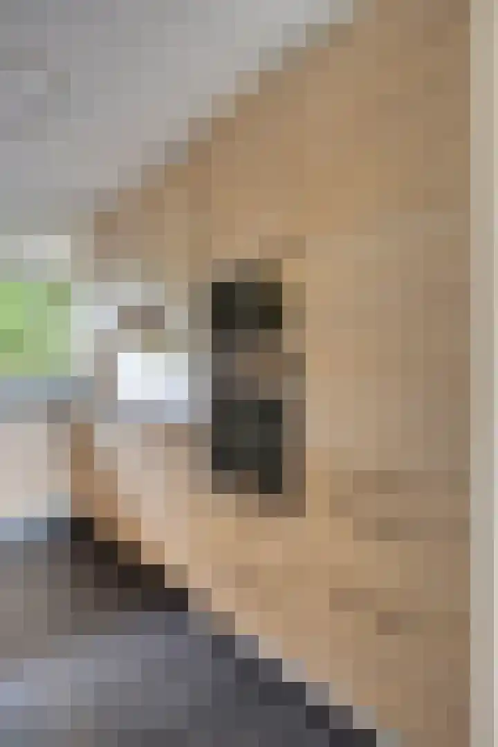 Middelmonde 27 Nieuwegein thumbnail 20