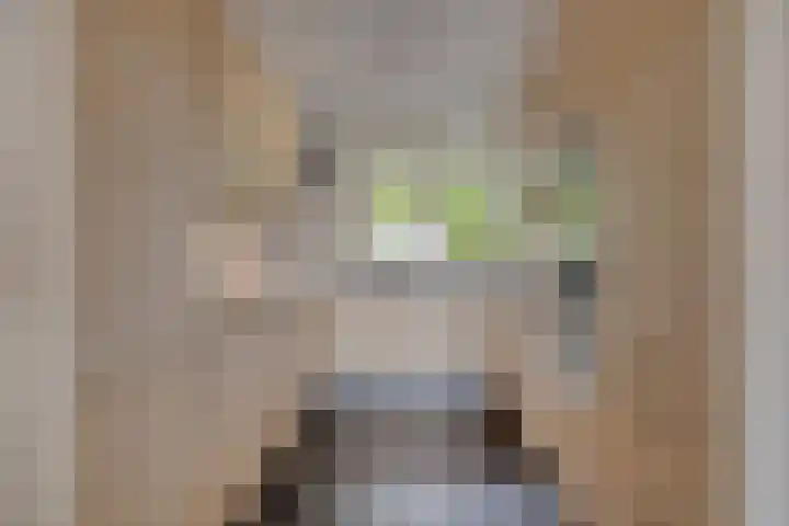 Middelmonde 27 Nieuwegein thumbnail 4
