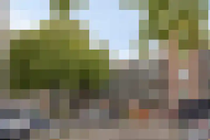 Middelmonde 27 Nieuwegein thumbnail 8